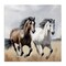 Stupell Industries Wild Run Twin Horses Canvas, design by Kim Allen